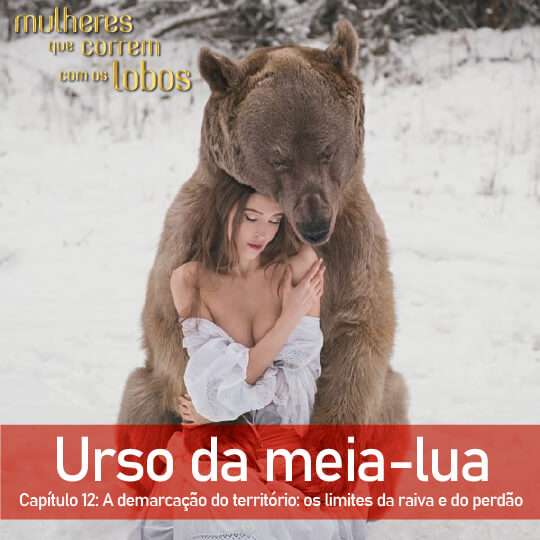 Urso da meia-lua — Capítulo 12: A demarcação do território: os limites da raiva e do perdão