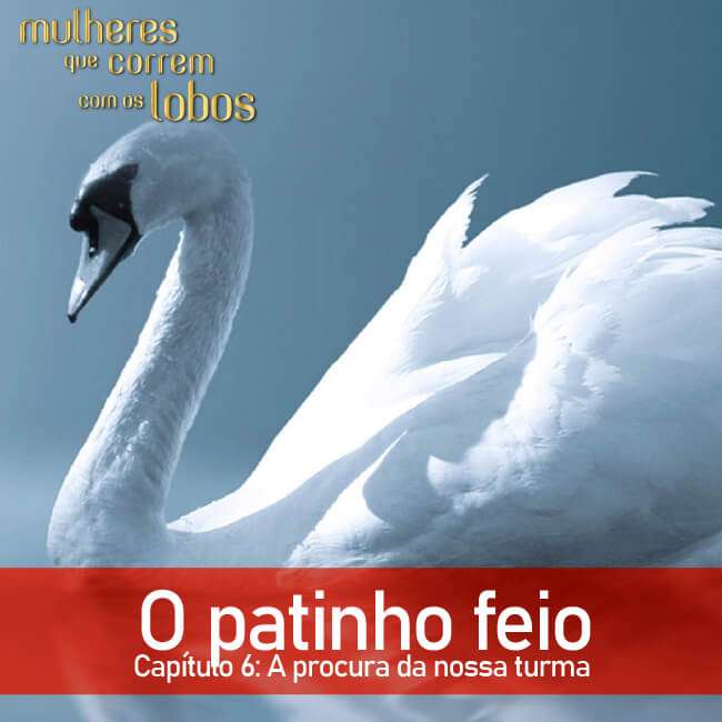 O patinho feio — Capítulo 6: A procura da nossa turma